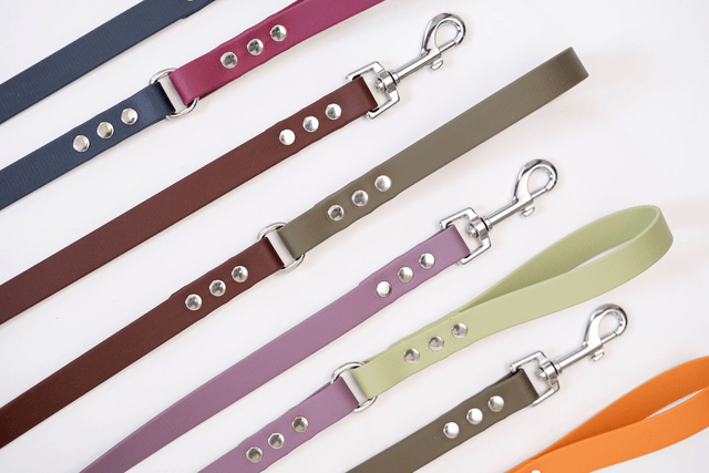 Laisse Mauve/Verte en Biothane®