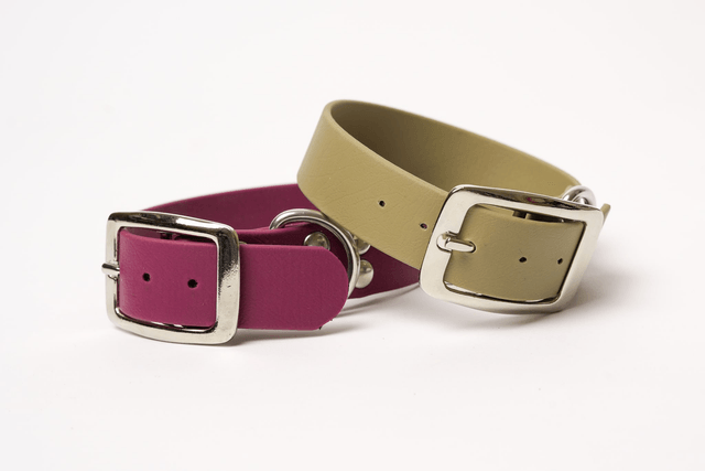 Collier Biothane® 25 ou 38 mm