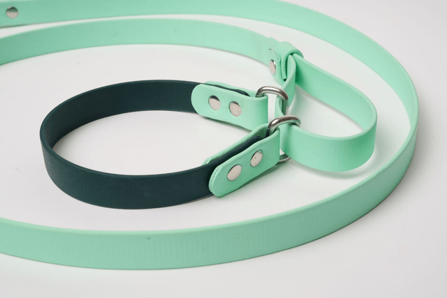 Laisse Martingale 