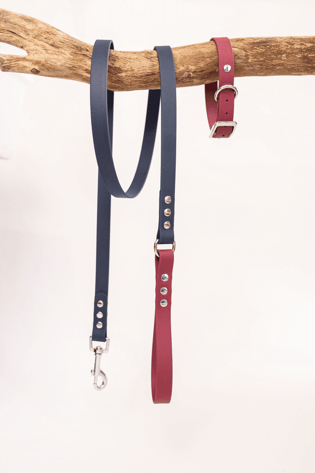 Laisse Bleue/Prune en Biothane®