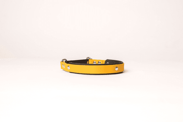 Collier Lasso