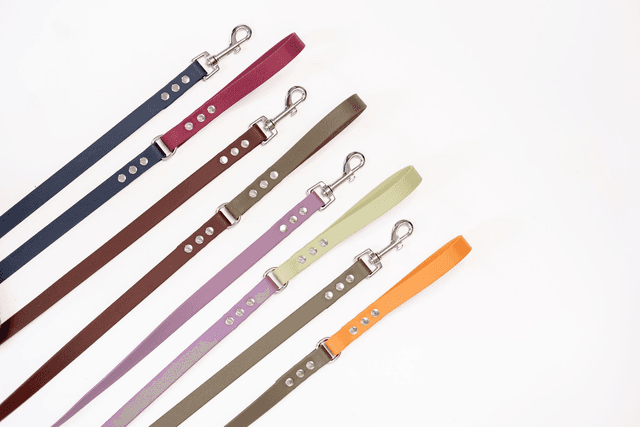 Laisse bicolore 1m en Biothane® (personnalisation de la couleur) 