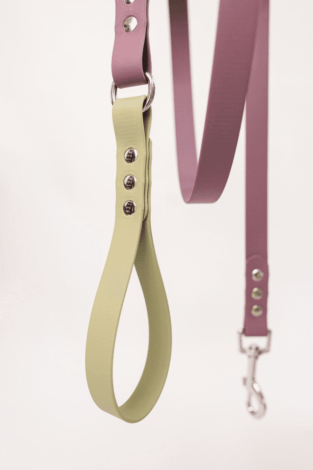 Laisse Mauve/Verte en Biothane®